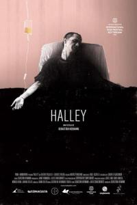 halley-2012