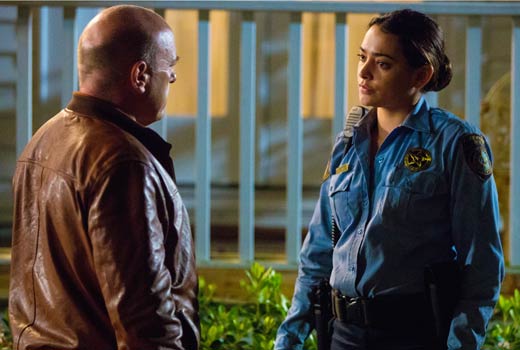 under-the-dome-big-jim-linda